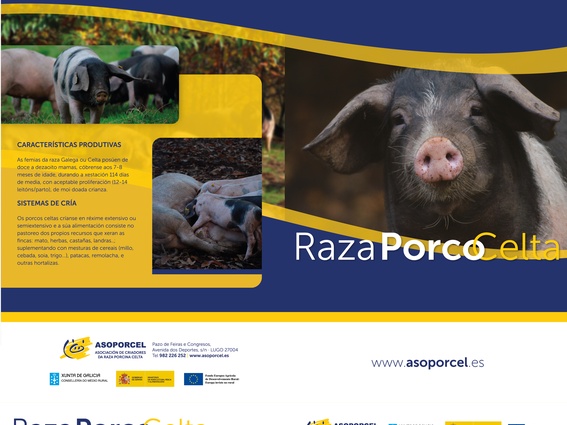 Diptico 2019 - Raza Porco Celta