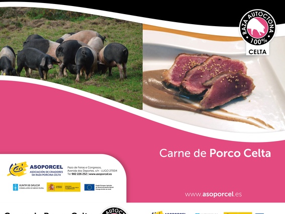Diptico 2019 - Carne de Porco Celta